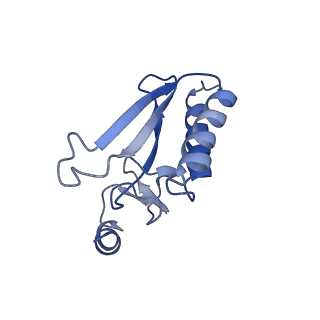 37992_8y0x_Lr_v1-0
Dormant ribosome with SERBP1