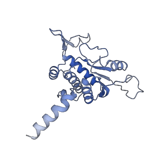 37992_8y0x_SA_v1-0
Dormant ribosome with SERBP1