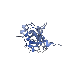 37992_8y0x_SB_v1-0
Dormant ribosome with SERBP1