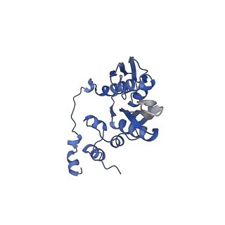 37992_8y0x_SC_v1-0
Dormant ribosome with SERBP1