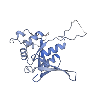 37992_8y0x_SH_v1-0
Dormant ribosome with SERBP1