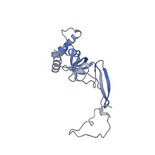 37992_8y0x_SI_v1-0
Dormant ribosome with SERBP1