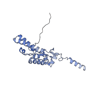 37992_8y0x_SJ_v1-0
Dormant ribosome with SERBP1