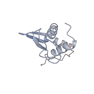 37992_8y0x_SK_v1-0
Dormant ribosome with SERBP1