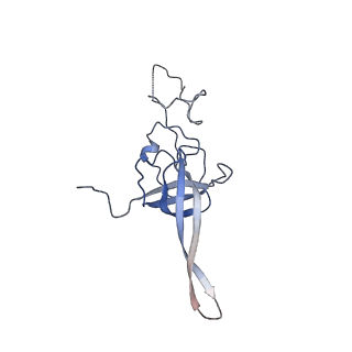 37992_8y0x_SL_v1-0
Dormant ribosome with SERBP1