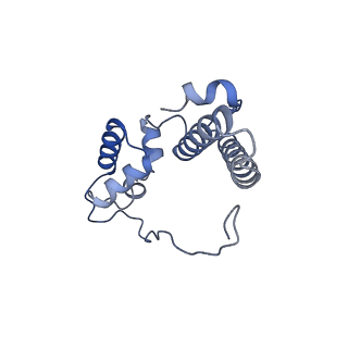 37992_8y0x_SN_v1-0
Dormant ribosome with SERBP1