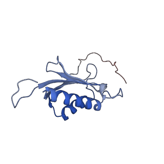 37992_8y0x_SO_v1-0
Dormant ribosome with SERBP1