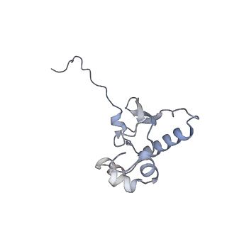 37992_8y0x_SP_v1-0
Dormant ribosome with SERBP1