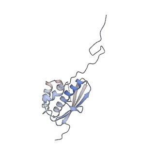 37992_8y0x_SQ_v1-0
Dormant ribosome with SERBP1