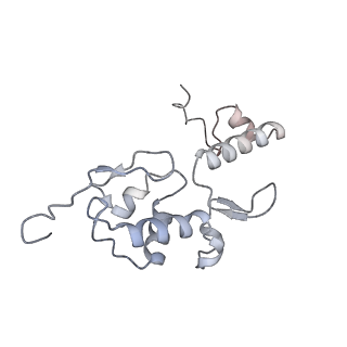 37992_8y0x_SS_v1-0
Dormant ribosome with SERBP1