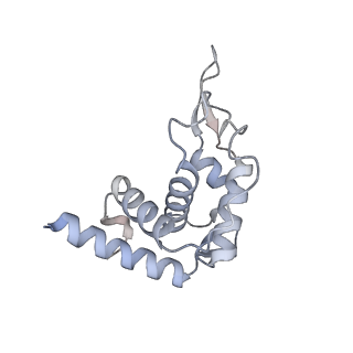 37992_8y0x_ST_v1-0
Dormant ribosome with SERBP1