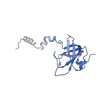 37992_8y0x_SX_v1-0
Dormant ribosome with SERBP1