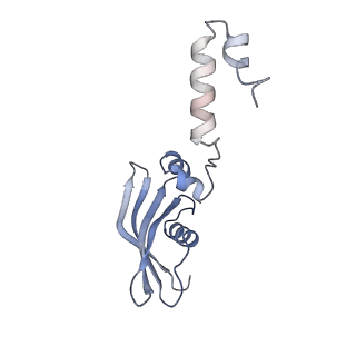 37992_8y0x_SY_v1-0
Dormant ribosome with SERBP1