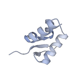 37992_8y0x_SZ_v1-0
Dormant ribosome with SERBP1