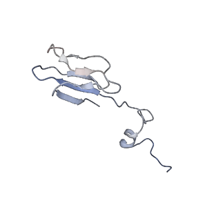 37992_8y0x_Sb_v1-0
Dormant ribosome with SERBP1