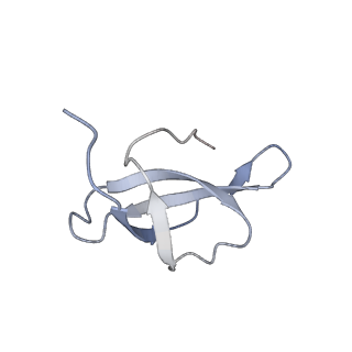 37992_8y0x_Sc_v1-0
Dormant ribosome with SERBP1