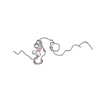 37992_8y0x_Sd_v1-0
Dormant ribosome with SERBP1