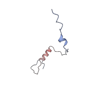 37992_8y0x_Se_v1-0
Dormant ribosome with SERBP1