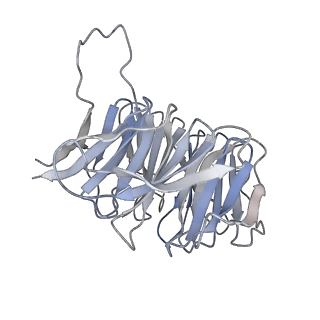 37992_8y0x_Sg_v1-0
Dormant ribosome with SERBP1