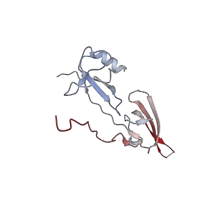 37995_8y0u_5_v1-0
dormant ribosome with STM1