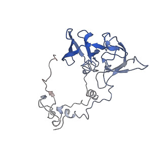 37995_8y0u_LA_v1-0
dormant ribosome with STM1