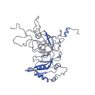 37995_8y0u_LB_v1-0
dormant ribosome with STM1