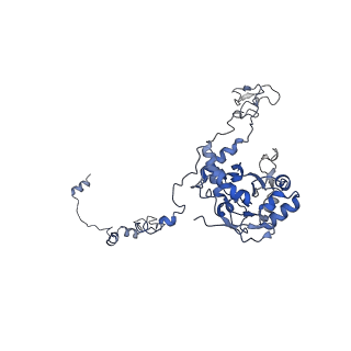 37995_8y0u_LC_v1-0
dormant ribosome with STM1