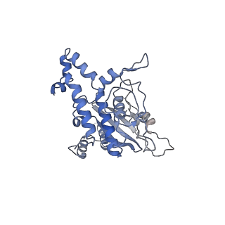 37995_8y0u_LD_v1-0
dormant ribosome with STM1