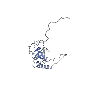 37995_8y0u_LE_v1-0
dormant ribosome with STM1