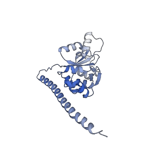 37995_8y0u_LF_v1-0
dormant ribosome with STM1