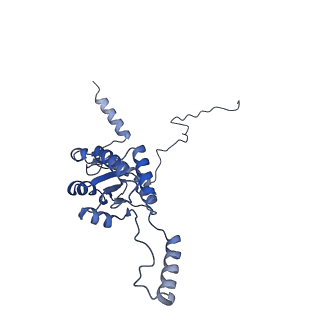 37995_8y0u_LG_v1-0
dormant ribosome with STM1