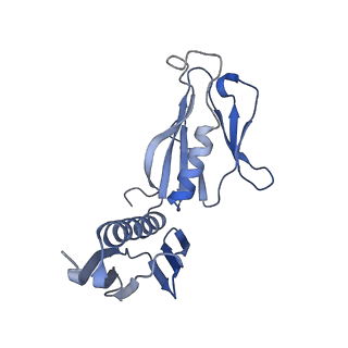 37995_8y0u_LH_v1-0
dormant ribosome with STM1