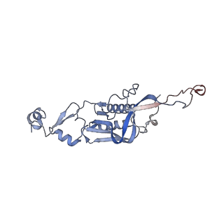 37995_8y0u_LI_v1-0
dormant ribosome with STM1