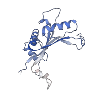 37995_8y0u_LJ_v1-0
dormant ribosome with STM1