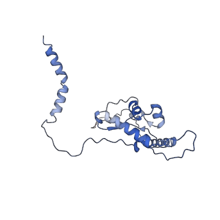 37995_8y0u_LL_v1-0
dormant ribosome with STM1