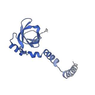37995_8y0u_LM_v1-0
dormant ribosome with STM1