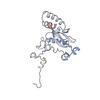 37995_8y0u_LN_v1-0
dormant ribosome with STM1