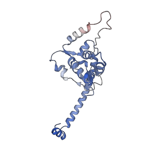 37995_8y0u_LO_v1-0
dormant ribosome with STM1