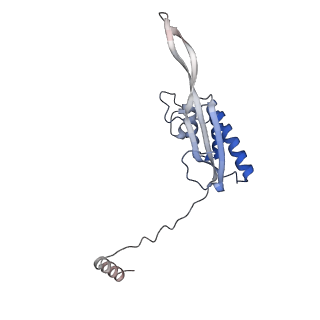 37995_8y0u_LP_v1-0
dormant ribosome with STM1