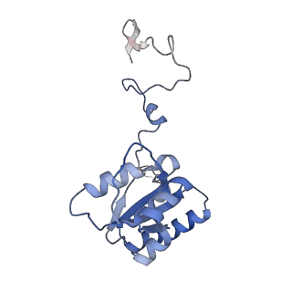 37995_8y0u_LQ_v1-0
dormant ribosome with STM1