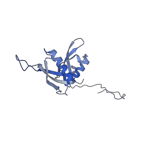 37995_8y0u_LS_v1-0
dormant ribosome with STM1