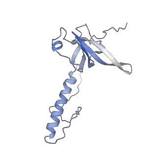 37995_8y0u_LT_v1-0
dormant ribosome with STM1