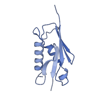 37995_8y0u_LU_v1-0
dormant ribosome with STM1