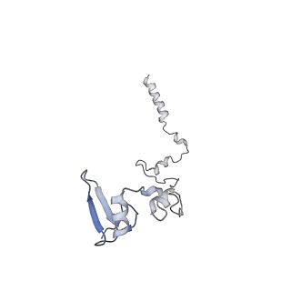 37995_8y0u_LW_v1-0
dormant ribosome with STM1