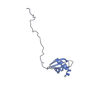 37995_8y0u_LX_v1-0
dormant ribosome with STM1