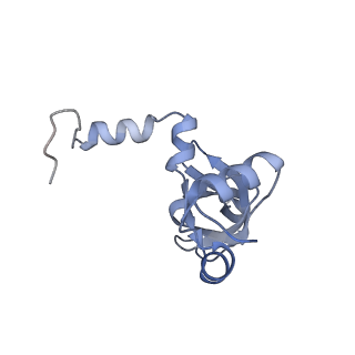 37995_8y0u_LY_v1-0
dormant ribosome with STM1