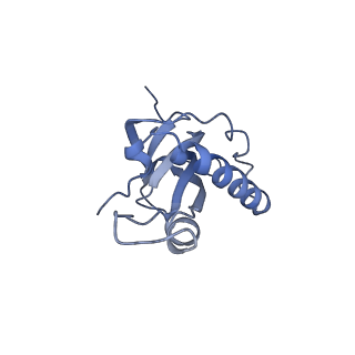 37995_8y0u_LZ_v1-0
dormant ribosome with STM1