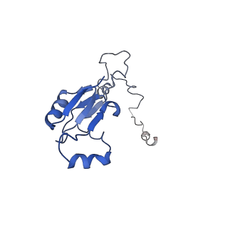 37995_8y0u_La_v1-0
dormant ribosome with STM1