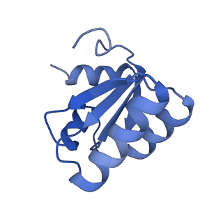 37995_8y0u_Lc_v1-0
dormant ribosome with STM1