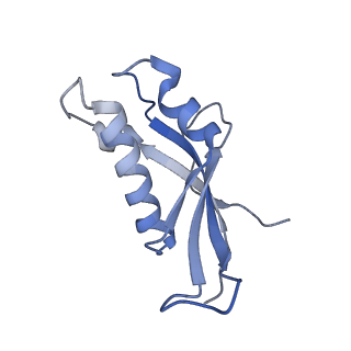 37995_8y0u_Ld_v1-0
dormant ribosome with STM1